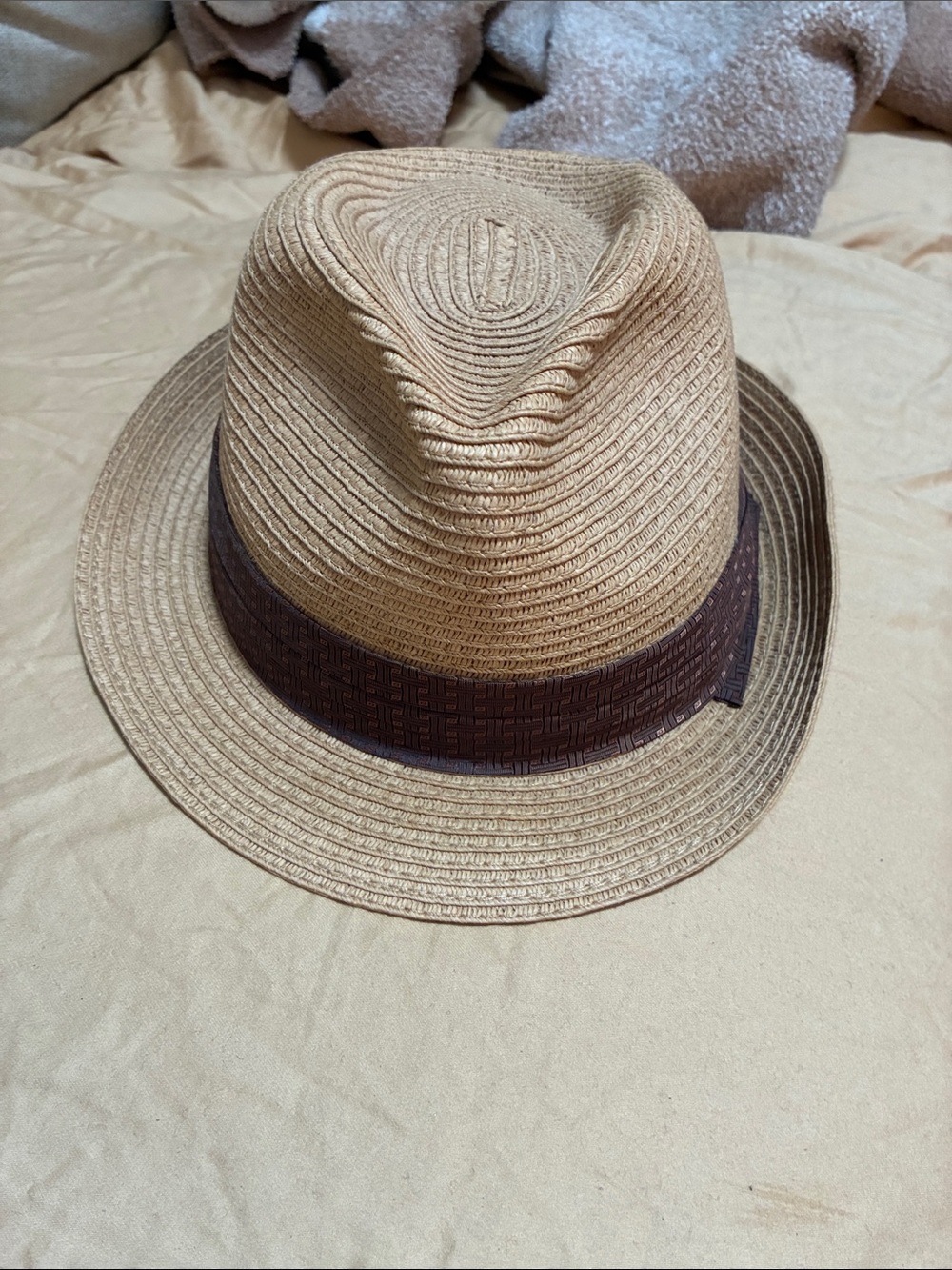 Tan Straw Fedora Hat with Dark Brown Band